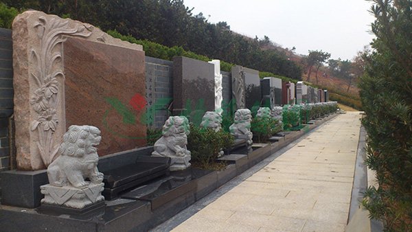 ��ҳ - ���ɱ����ǹ��ʹٷ���վ