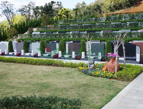 ��ҳ - ���ɱ����ǹ��ʹٷ���վ