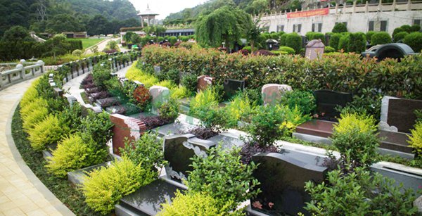 ��ҳ - ���ɱ����ǹ��ʹٷ���վ