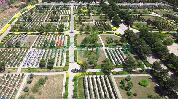 ��ҳ - ���ɱ����ǹ��ʹٷ���վ