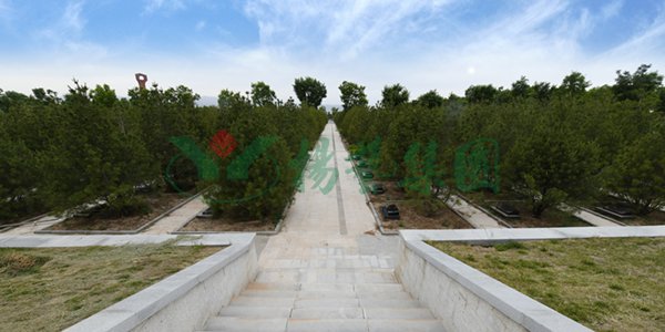 ��ҳ - ���ɱ����ǹ��ʹٷ���վ