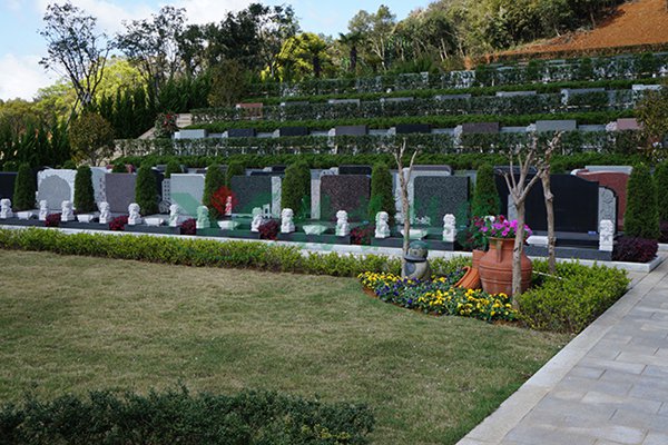 ��ҳ - ���ɱ����ǹ��ʹٷ���վ