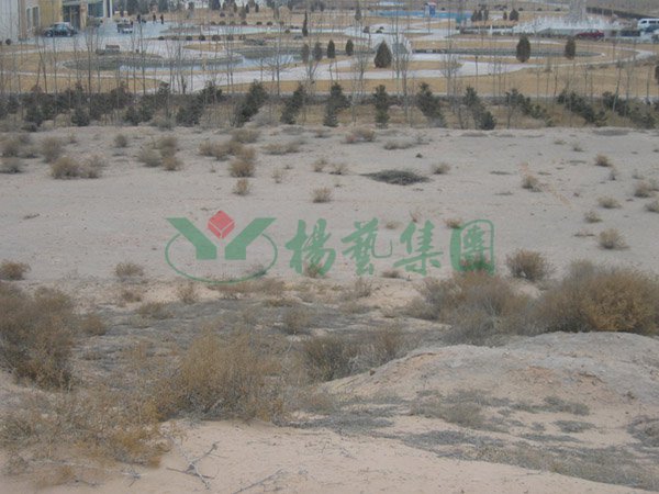 ��ҳ - ���ɱ����ǹ��ʹٷ���վ