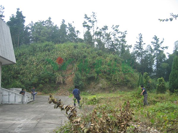 ��ҳ - ���ɱ����ǹ��ʹٷ���վ