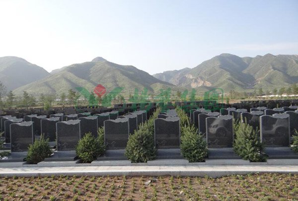 ��ҳ - ���ɱ����ǹ��ʹٷ���վ