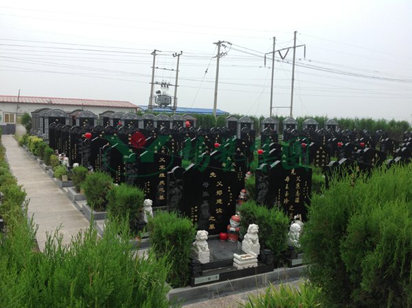 ��ҳ - ���ɱ����ǹ��ʹٷ���վ