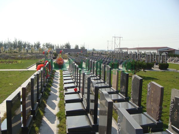 ��ҳ - ���ɱ����ǹ��ʹٷ���վ