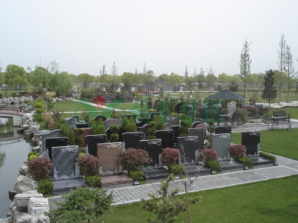 ��ҳ - ���ɱ����ǹ��ʹٷ���վ