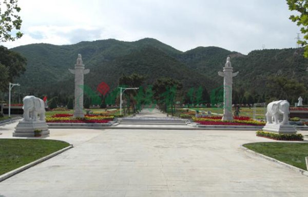 ��ҳ - ���ɱ����ǹ��ʹٷ���վ