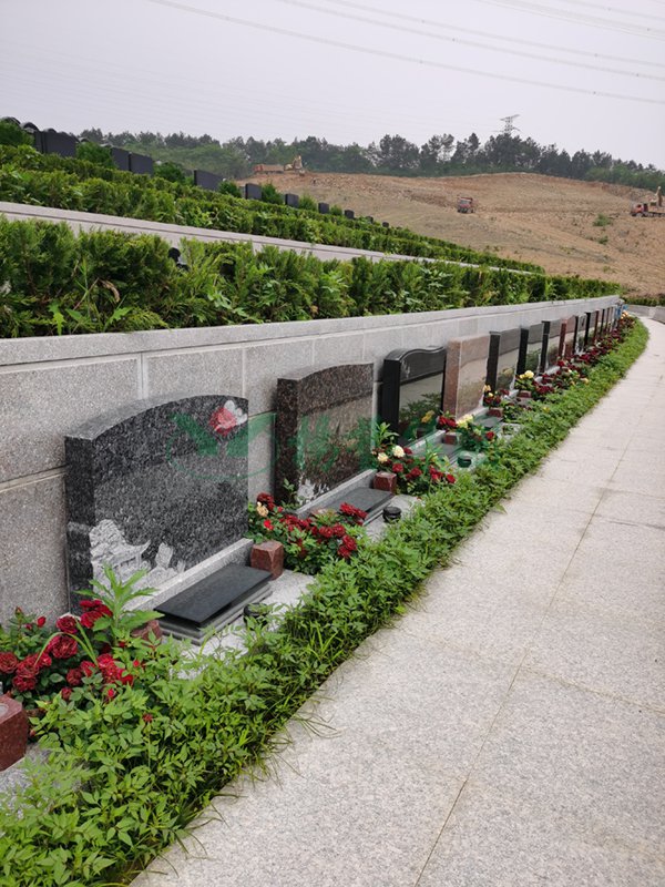 ��ҳ - ���ɱ����ǹ��ʹٷ���վ