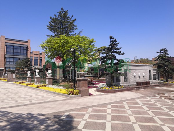 ��ҳ - ���ɱ����ǹ��ʹٷ���վ