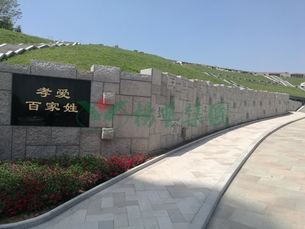 ��ҳ - ���ɱ����ǹ��ʹٷ���վ