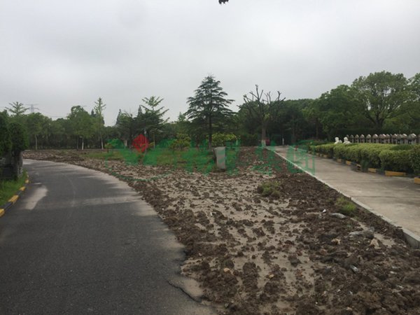 ��ҳ - ���ɱ����ǹ��ʹٷ���վ