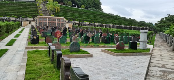 ��ҳ - ���ɱ����ǹ��ʹٷ���վ