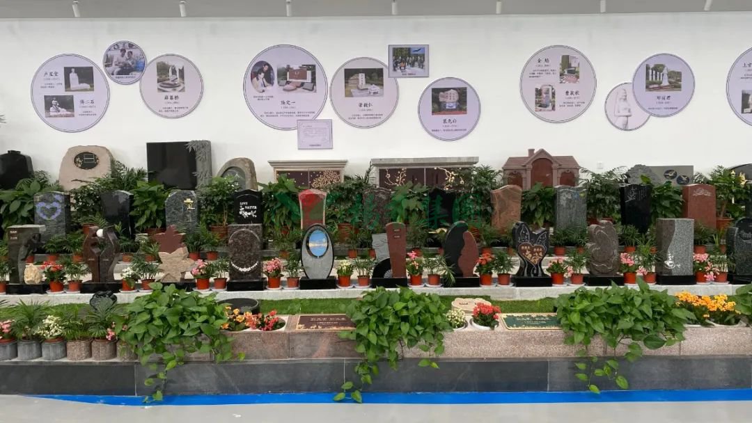 ��ҳ - ���ɱ����ǹ��ʹٷ���վ