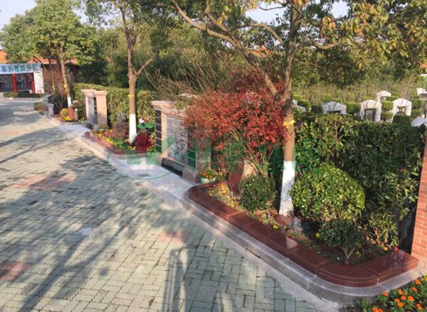 ��ҳ - ���ɱ����ǹ��ʹٷ���վ