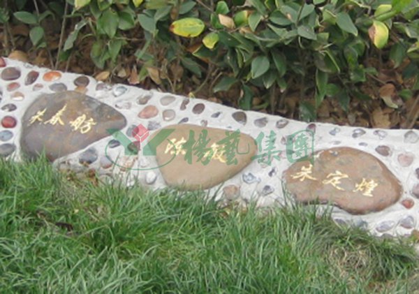 ��ҳ - ���ɱ����ǹ��ʹٷ���վ