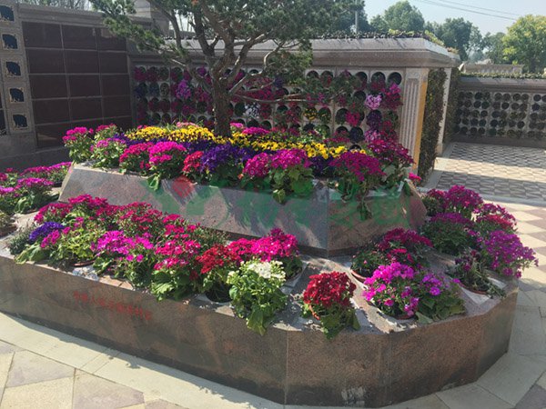 ��ҳ - ���ɱ����ǹ��ʹٷ���վ