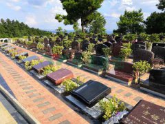 ������������Ĺ