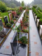 �����ܼҺ���Ĺ