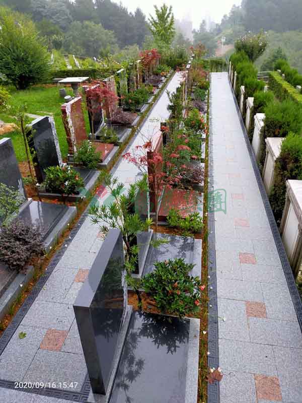 ��ҳ - ���ɱ����ǹ��ʹٷ���վ