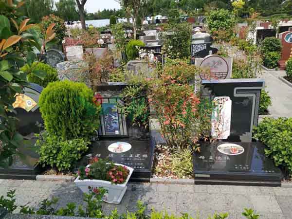 ��ҳ - ���ɱ����ǹ��ʹٷ���վ