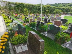 �����ܷ�ɽ����