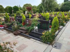 �Ϻ�������԰����19��