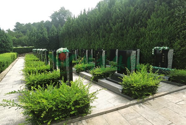 ��ҳ - ���ɱ����ǹ��ʹٷ���վ