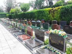 ɽ����������԰-1