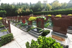 ɽ����������԰-3