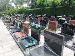 ɽ����������԰-4