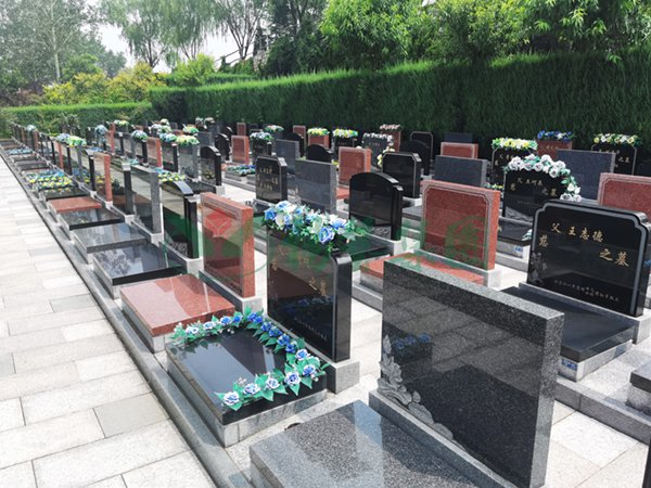 ��ҳ - ���ɱ����ǹ��ʹٷ���վ