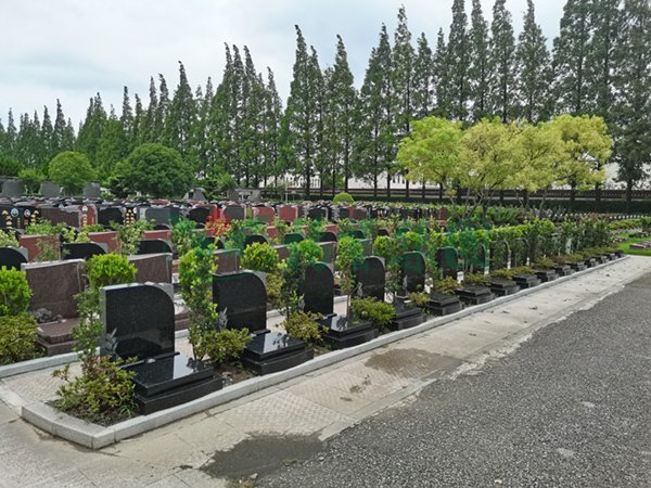 ��ҳ - ���ɱ����ǹ��ʹٷ���վ