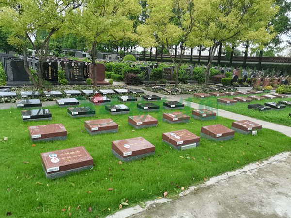 ��ҳ - ���ɱ����ǹ��ʹٷ���վ