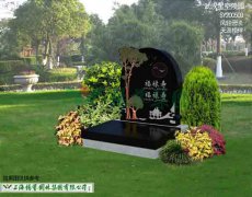 SY200503-�����Ƶ� �������