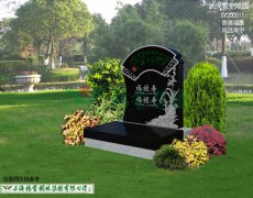 SY200511-���帻�� ��Զ����