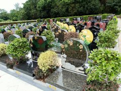 �人ǧ���ǿ�����-1