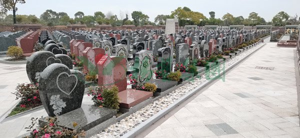 ��ҳ - ���ɱ����ǹ��ʹٷ���վ