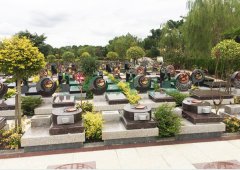 �Ϻ�����԰�ǻ���