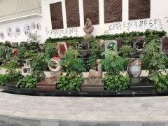 ����ڵ���-3