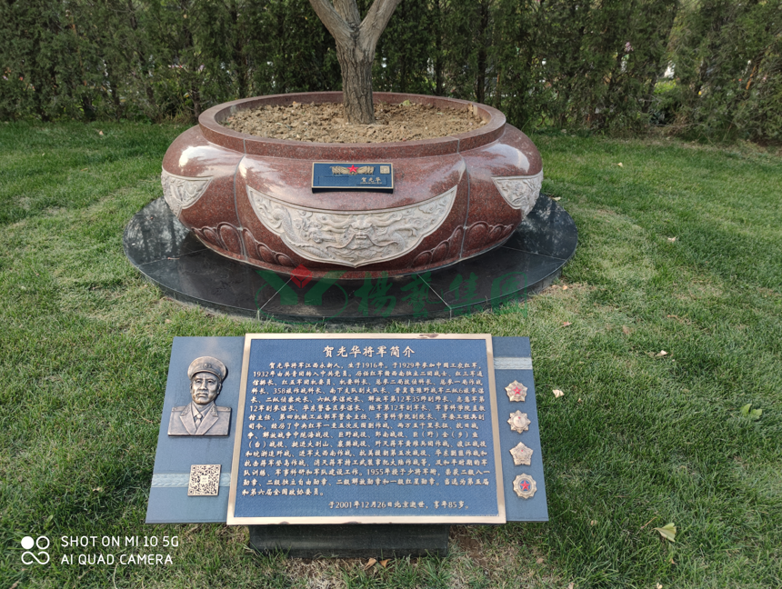 ��ҳ - ���ɱ����ǹ��ʹٷ���վ