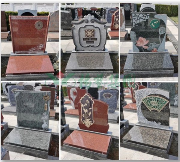 ��ҳ - ���ɱ����ǹ��ʹٷ���վ