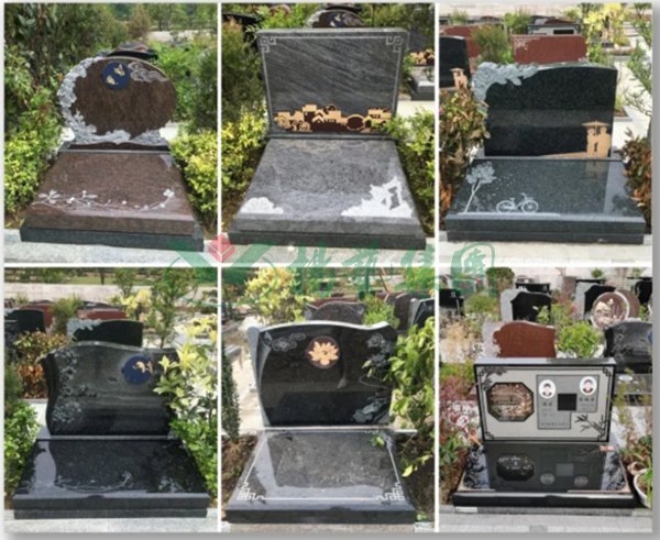 ��ҳ - ���ɱ����ǹ��ʹٷ���վ