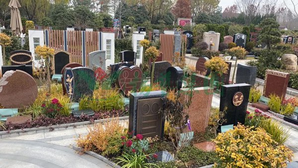 ��ҳ - ���ɱ����ǹ��ʹٷ���վ