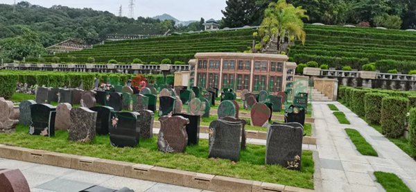 ��ҳ - ���ɱ����ǹ��ʹٷ���վ