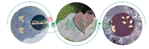 ��ҳ - ���ɱ����ǹ��ʹٷ���վ