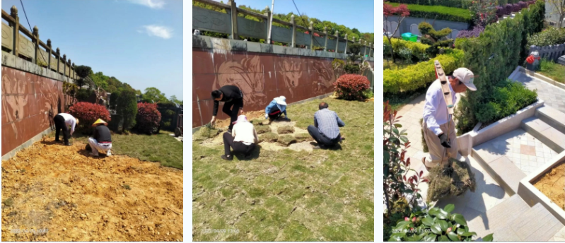 ��ҳ - ���ɱ����ǹ��ʹٷ���վ