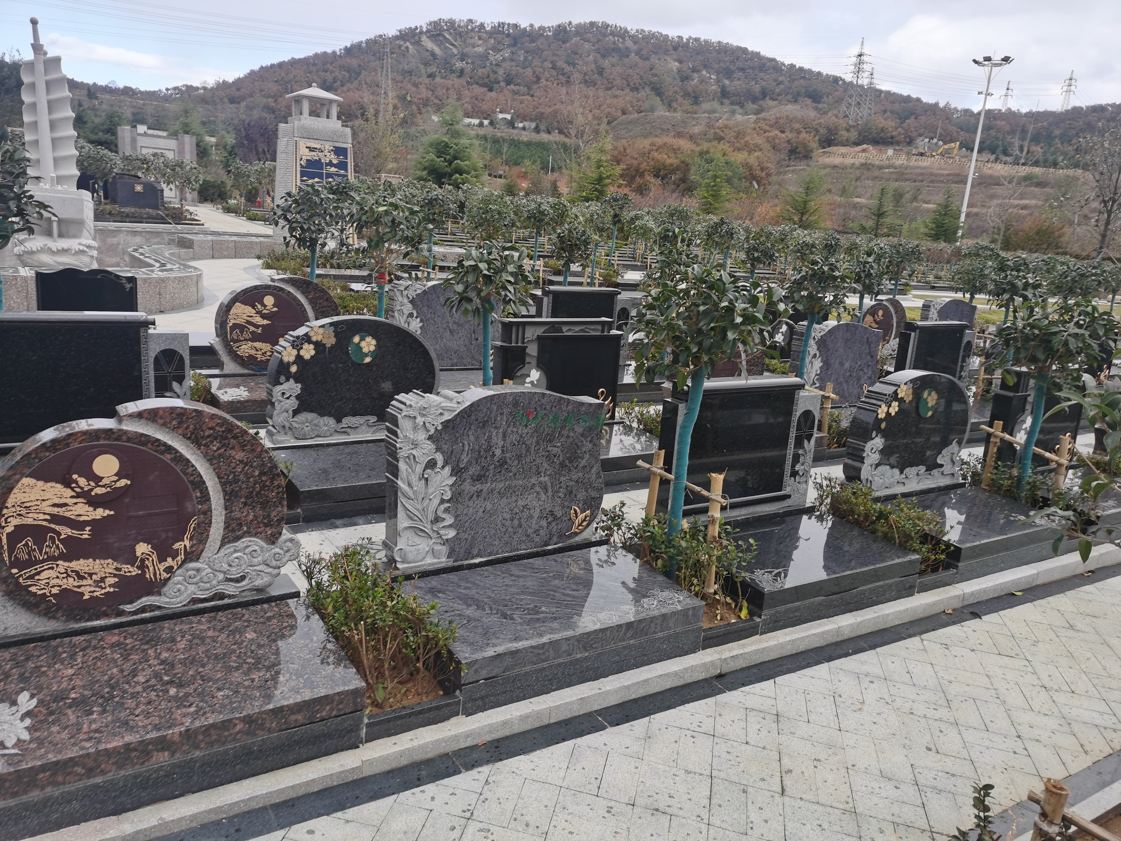 ��ҳ - ���ɱ����ǹ��ʹٷ���վ