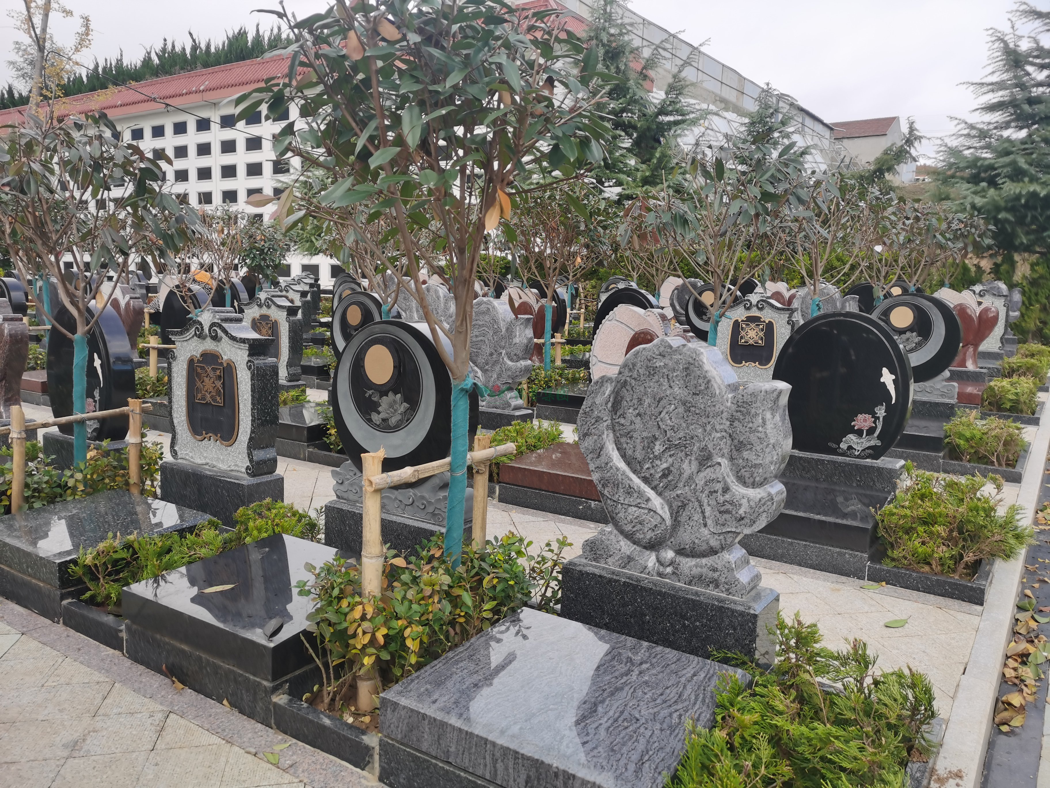 ��ҳ - ���ɱ����ǹ��ʹٷ���վ